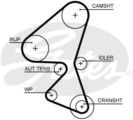 Ремень ГРМ FORD/FIAT/MAZDA/PSA/VOLVO mot.1,6HDI/TDCI GATES 5656XS