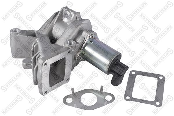 01-25034-SX_клапан рециркуляции!\ Renault Megane/Laguna/Scenic 1.9D