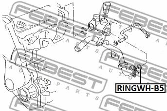 Кольцо уплотнительное системы охлаждения AUDI A6 (4B/C5) 1997-2005 FEBEST RINGWH-B5