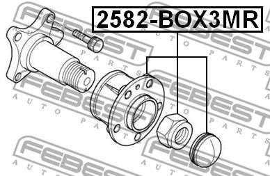 Ступица задняя CITROEN JUMPER III/ RELAY III 2006- FEBEST 2582-BOX3MR