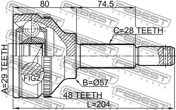 Шрус наружный 29x57x28 FORD TRANSIT TT9 2006-2013 [EU] FEBEST 2110-TT9A48