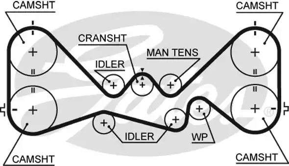 Ремень ГРМ GATES 5384XS