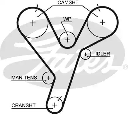 Ремень ГРМ GATES 5446XS